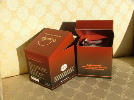 Ganoderma gomba-málnás szeletek csokoládéval mártva (200 g)